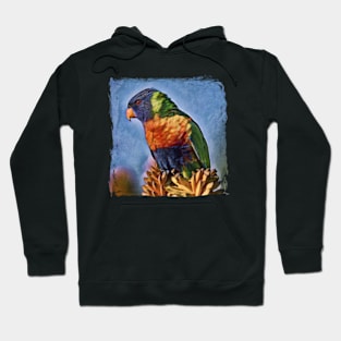 Rainbow Lorikeet Australian Bird Hoodie